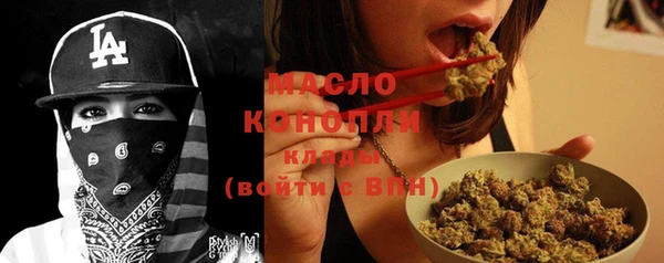 Альфа ПВП Инсар