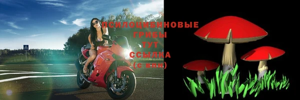 гашик Горнозаводск