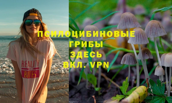 гашик Горнозаводск