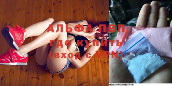 гашик Зерноград